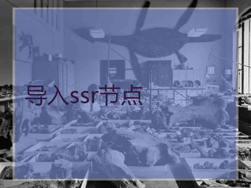 导入ssr节点