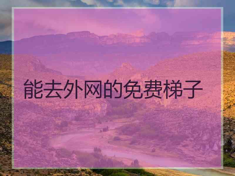 能去外网的免费梯子