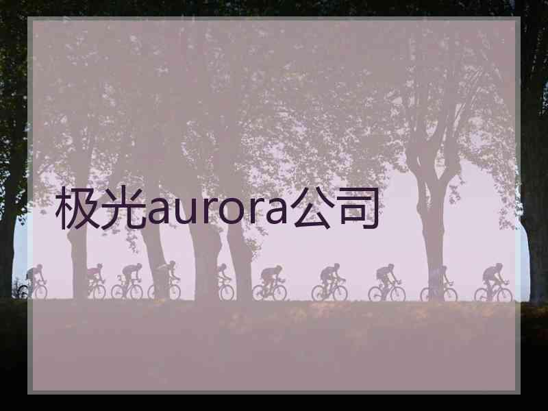 极光aurora公司