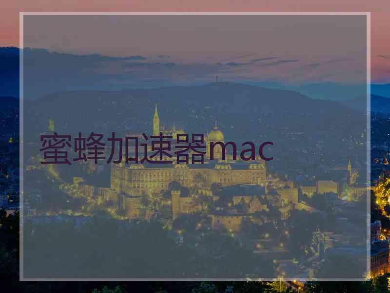 蜜蜂加速器mac
