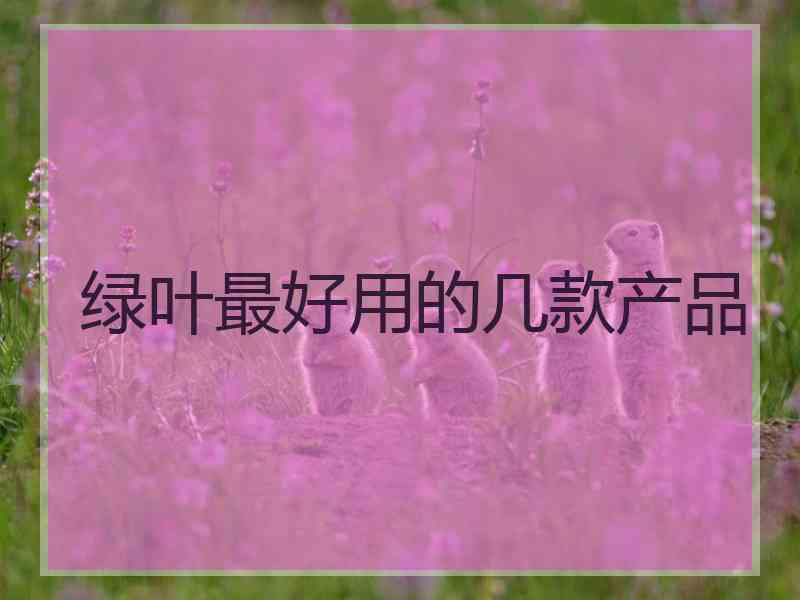 绿叶最好用的几款产品
