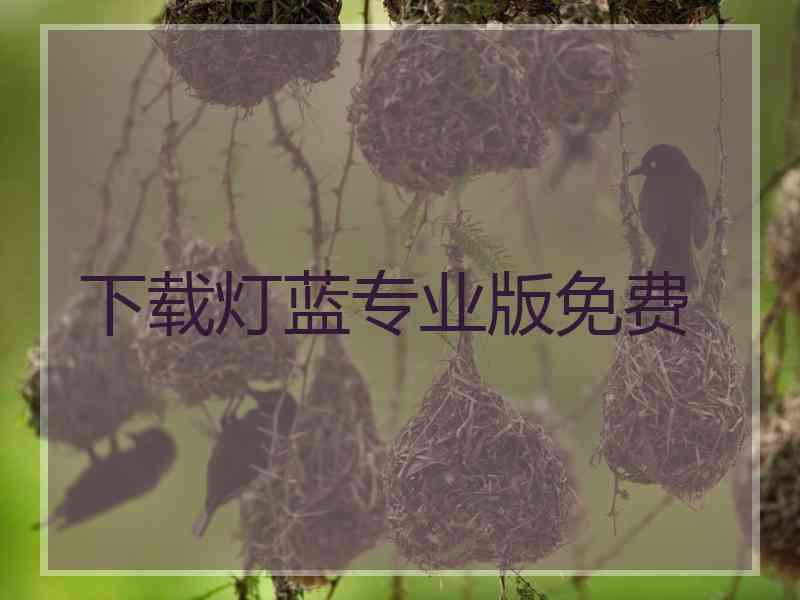 下载灯蓝专业版免费
