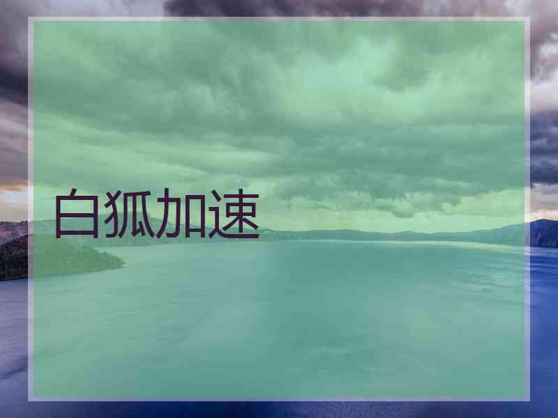 白狐加速