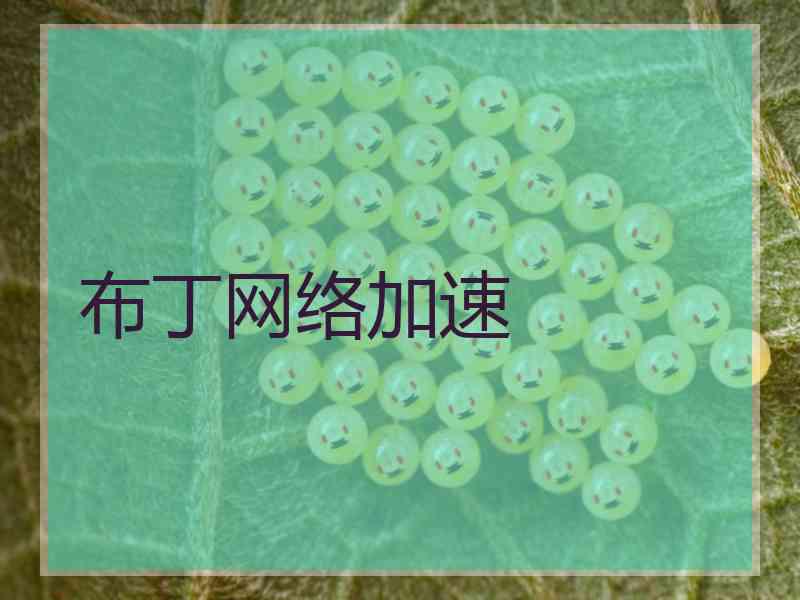布丁网络加速