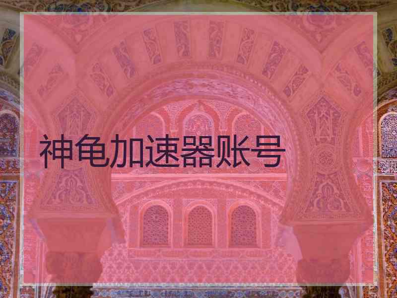 神龟加速器账号