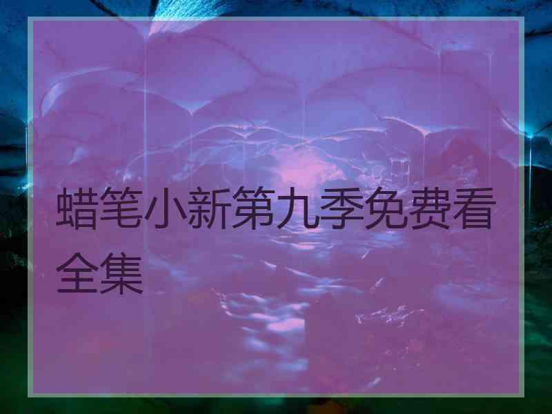 蜡笔小新第九季免费看全集