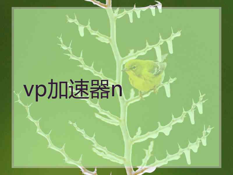 vp加速器n