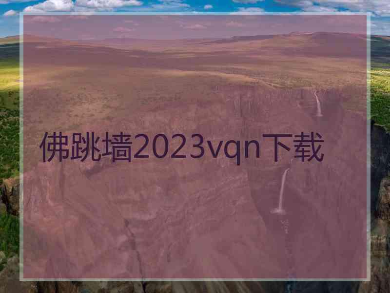佛跳墙2023vqn下载