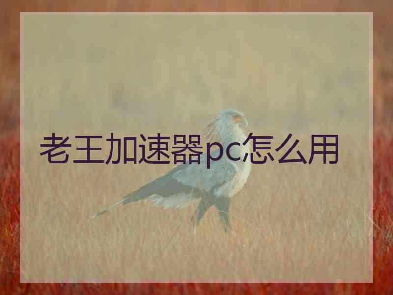老王加速器pc怎么用