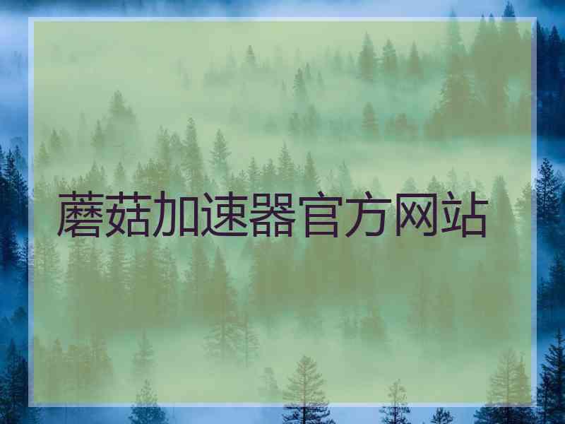 蘑菇加速器官方网站