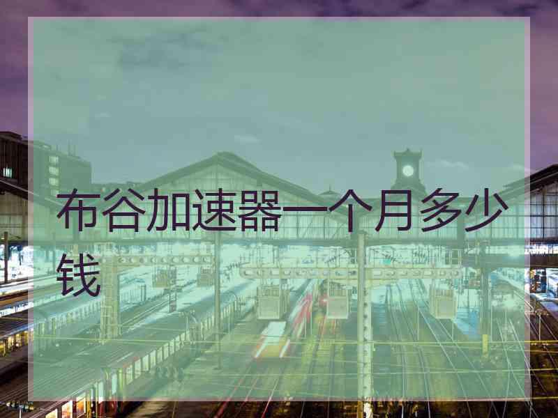 布谷加速器一个月多少钱