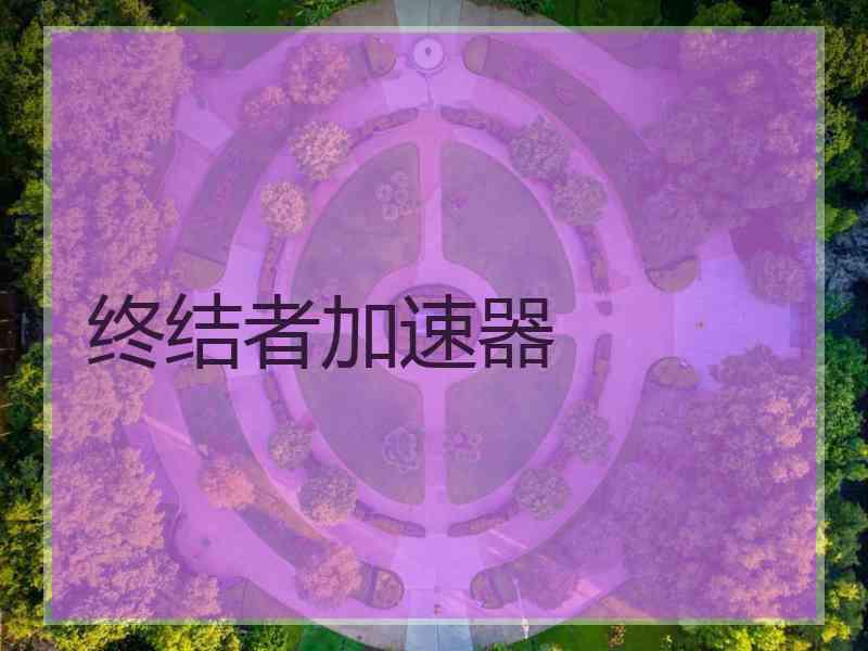 终结者加速器