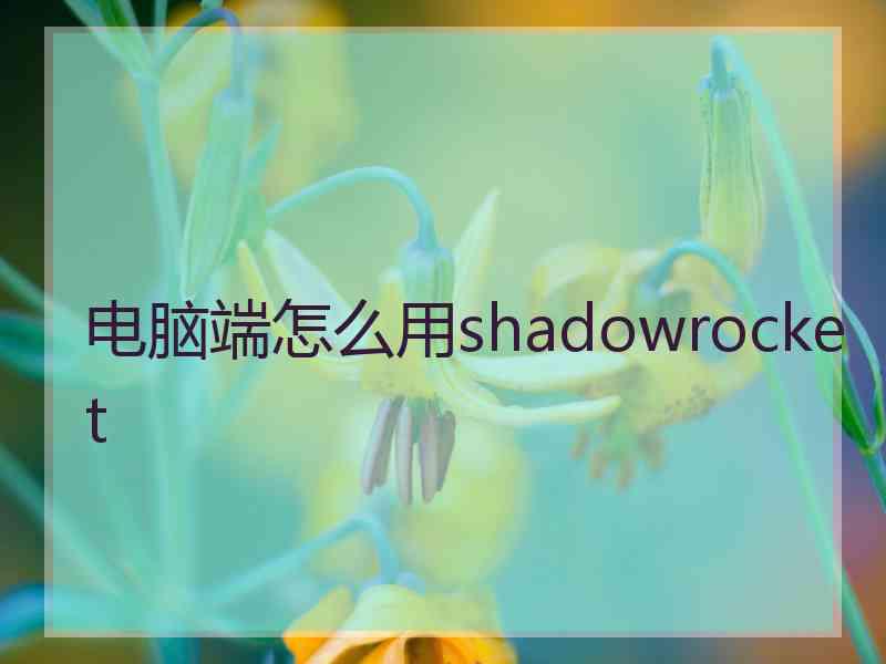 电脑端怎么用shadowrocket