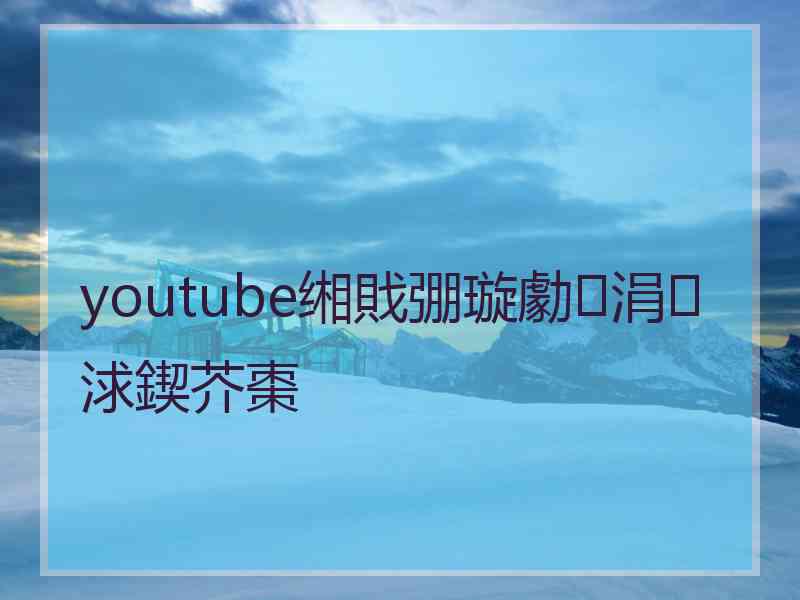 youtube缃戝弸璇勮涓浗鍥芥棗
