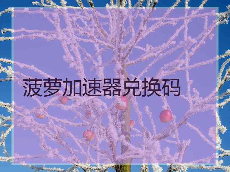 菠萝加速器兑换码