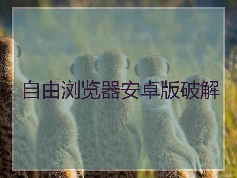 自由浏览器安卓版破解