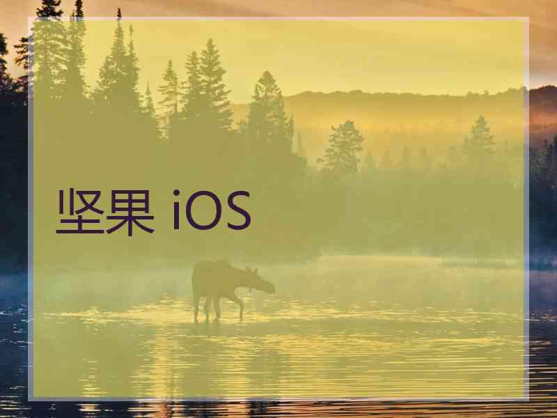 坚果 iOS