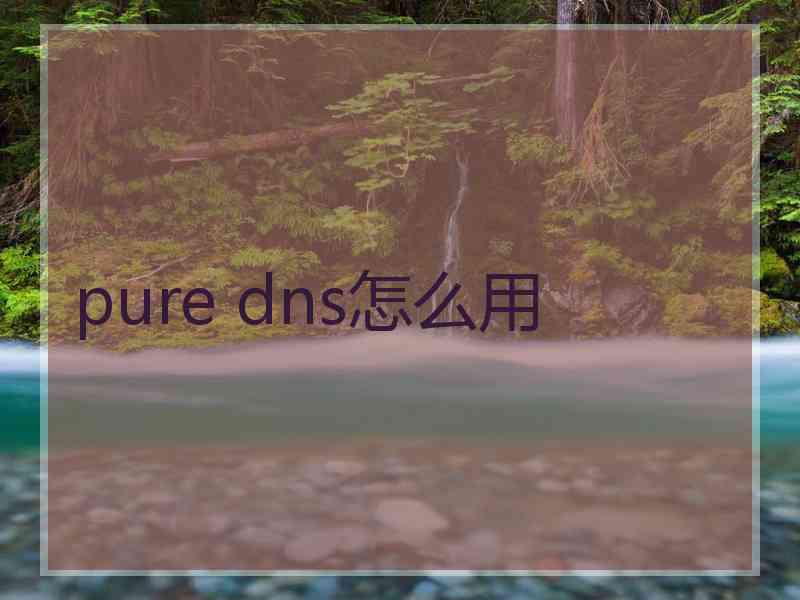 pure dns怎么用