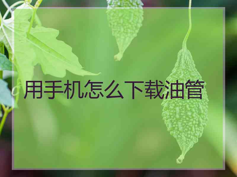 用手机怎么下载油管