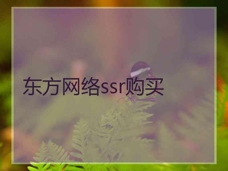 东方网络ssr购买
