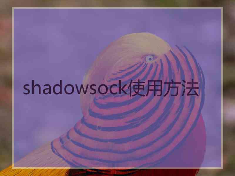 shadowsock使用方法