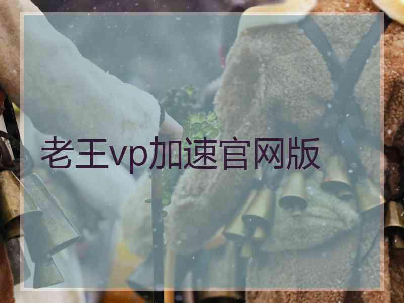 老王vp加速官网版