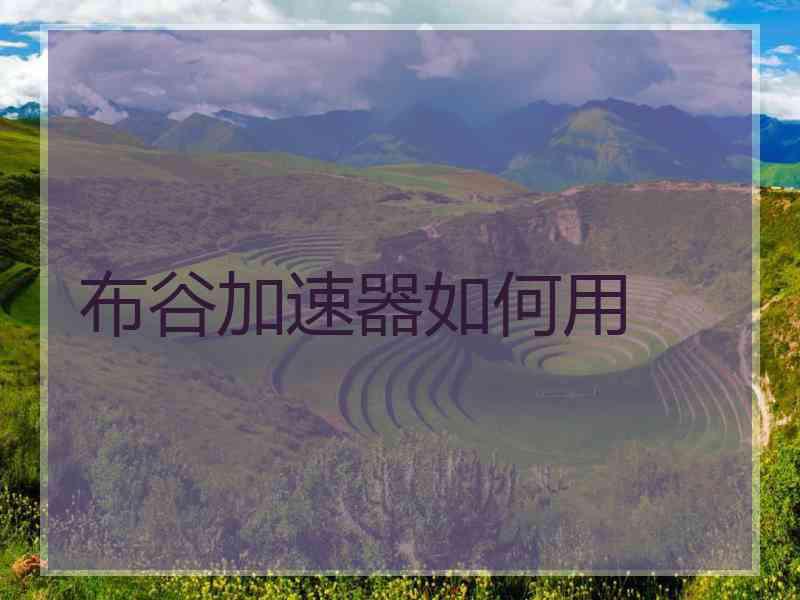 布谷加速器如何用