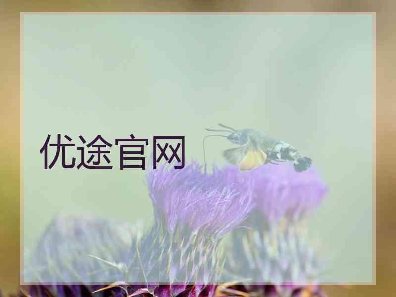 优途官网
