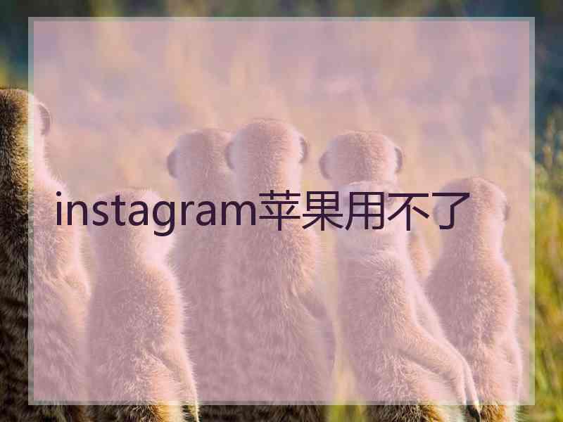 instagram苹果用不了