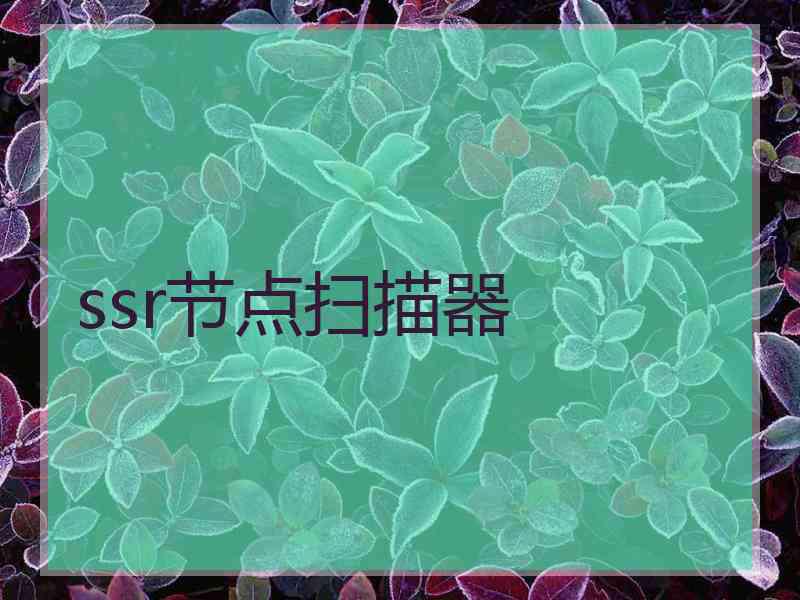 ssr节点扫描器