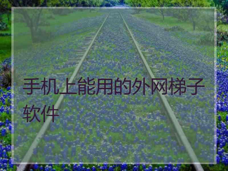 手机上能用的外网梯子软件