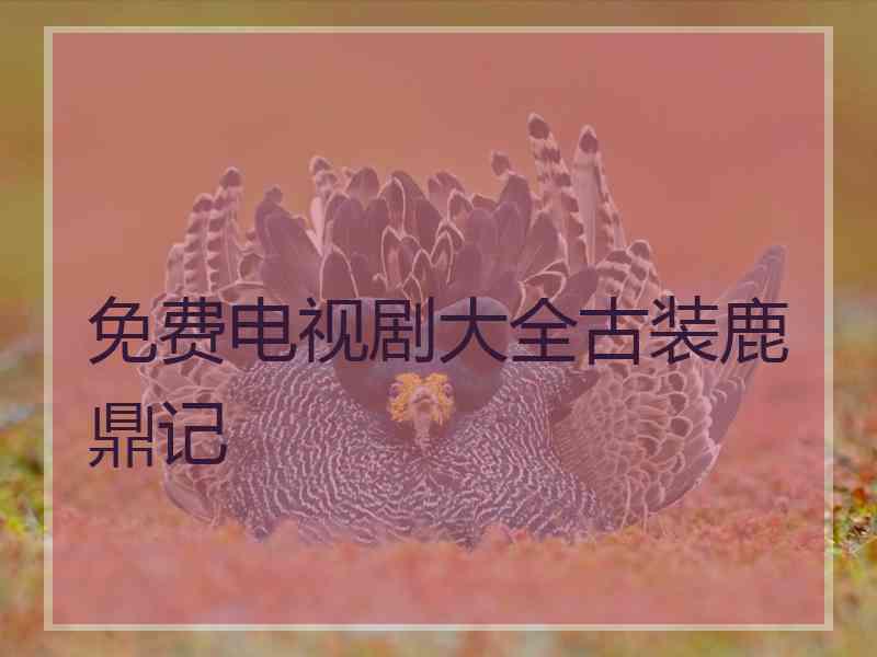 免费电视剧大全古装鹿鼎记