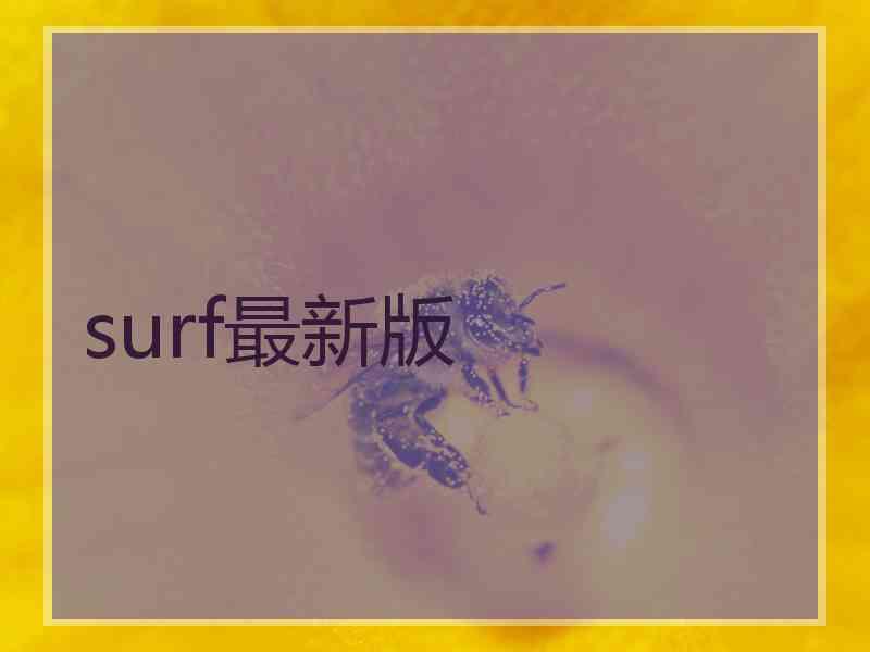 surf最新版