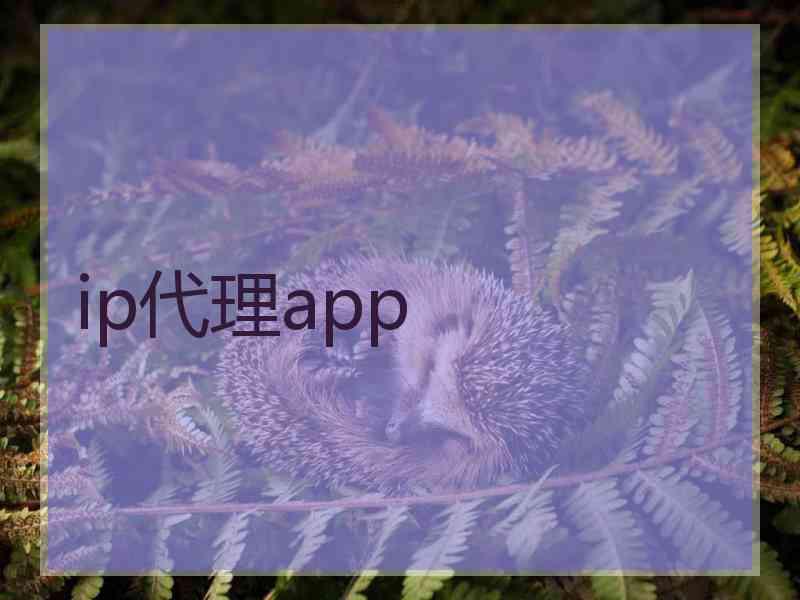 ip代理app