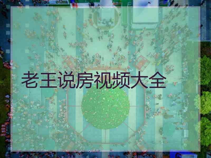 老王说房视频大全