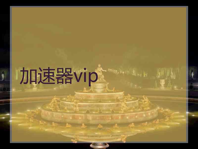 加速器vip