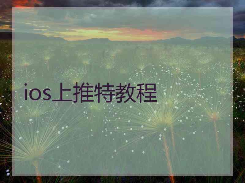 ios上推特教程