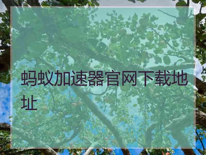 蚂蚁加速器官网下载地址