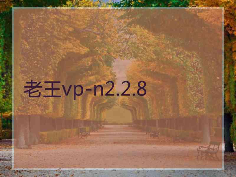 老王vp-n2.2.8