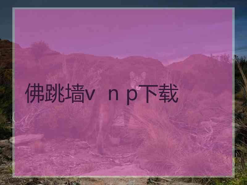 佛跳墙v  n p下载
