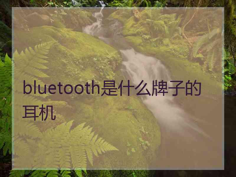 bluetooth是什么牌子的耳机