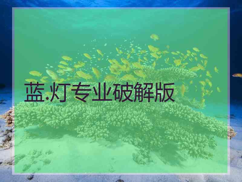 蓝.灯专业破解版
