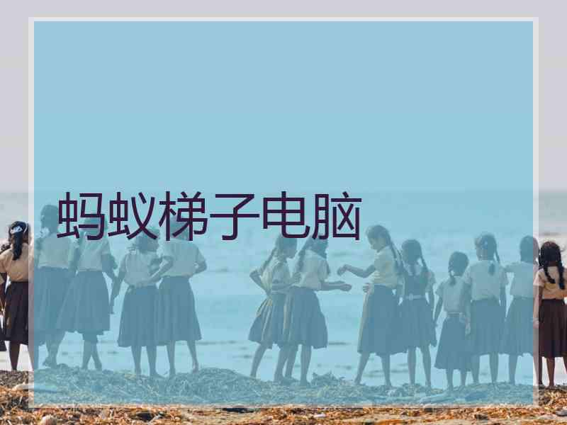 蚂蚁梯子电脑