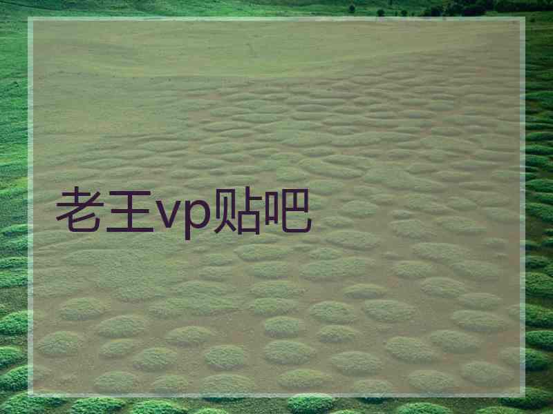 老王vp贴吧
