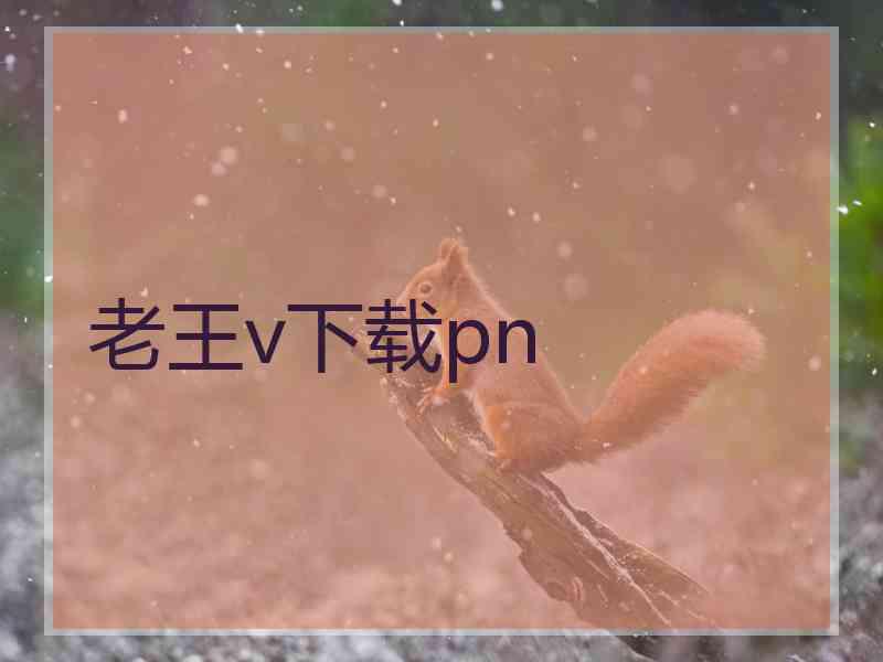 老王v下载pn