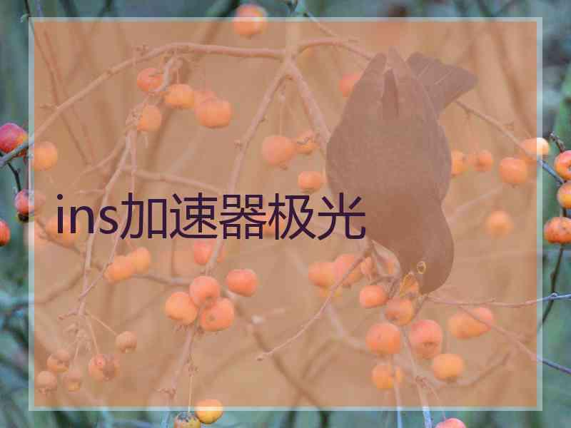 ins加速器极光