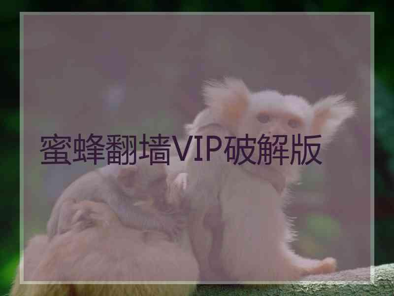 蜜蜂翻墙VIP破解版