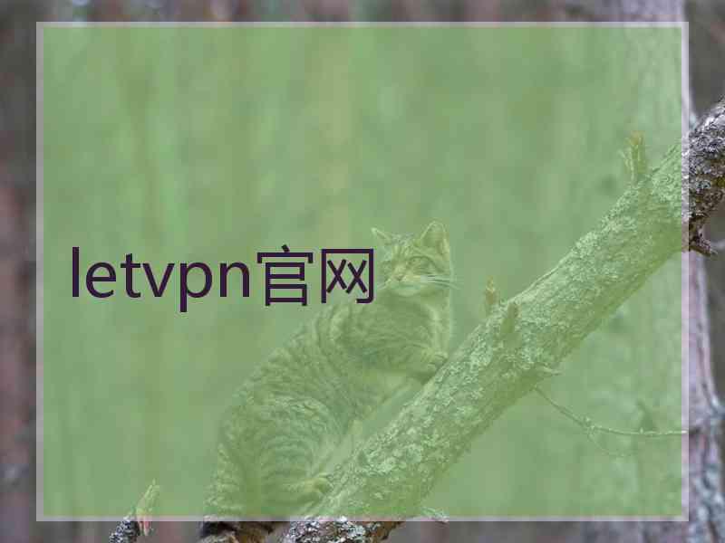 letvpn官网