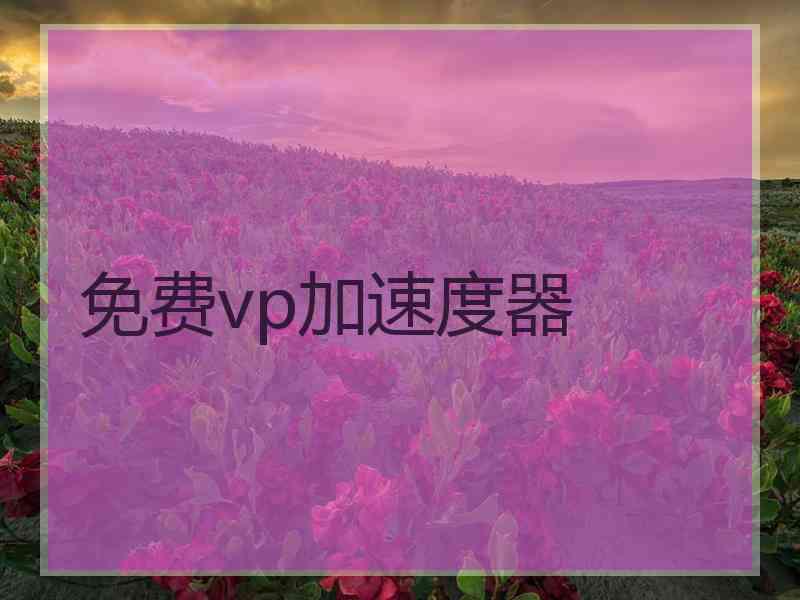 免费vp加速度器