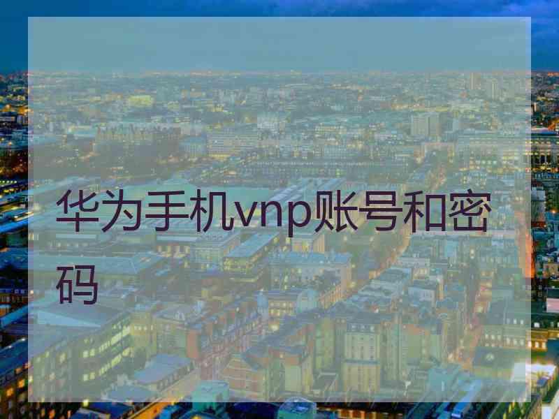 华为手机vnp账号和密码